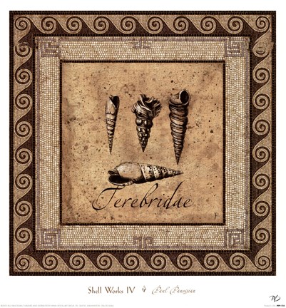 Framed Shell Works IV Print