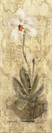 Framed Esprit Sympodial Panel Print