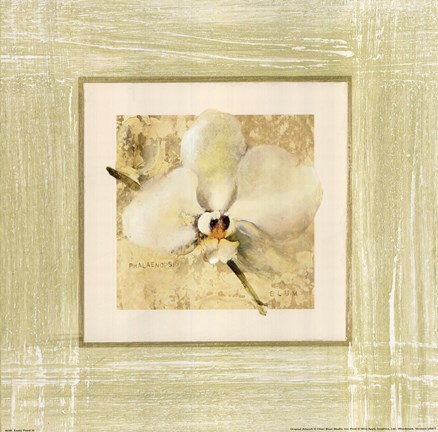Framed Exotic Floral III Print