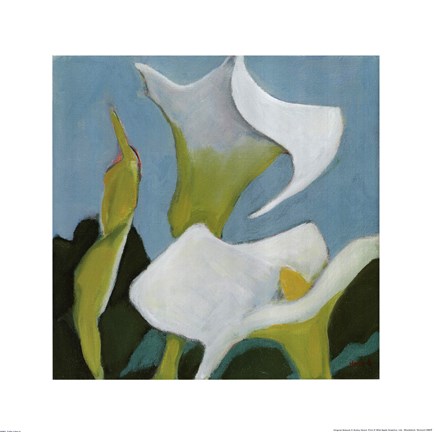 Framed Calla Lillies 4 Print