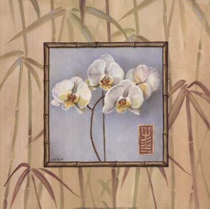 Framed Orchid Spa IV Print