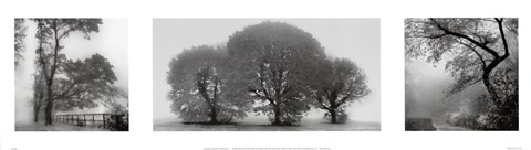 Framed Evening Dew Print