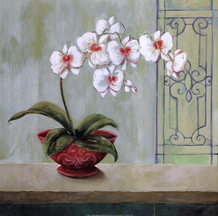 Framed Spa Dance I Print