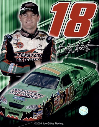 Framed 2005 Bobby Labonte collage- car, number, driver and signature Print