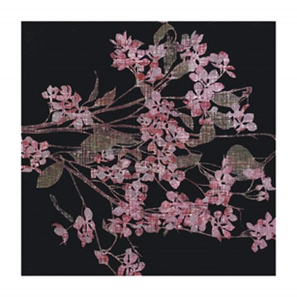 Framed Blossom Branch, 2005 Print