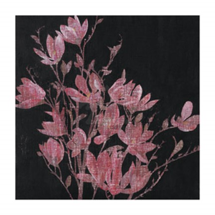 Framed Magnolia, 2005 Print