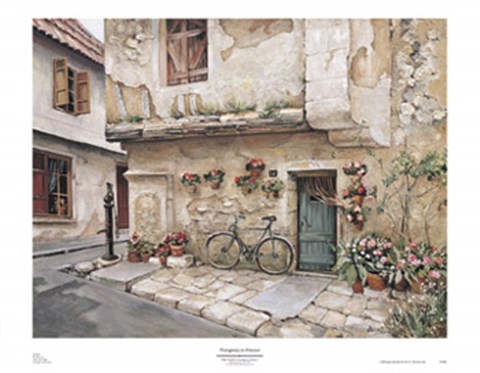 Framed Passageway in Provence Print