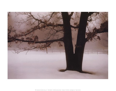 Framed Tranquility Print