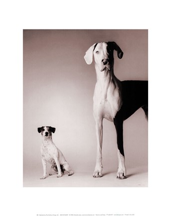 Framed Domino and Daisy Print