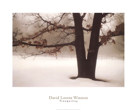 Framed Tranquility Print