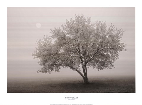 Framed Forever Spring Print