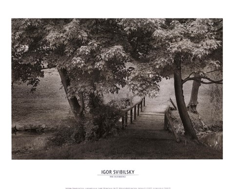 Framed Old Bridge Print