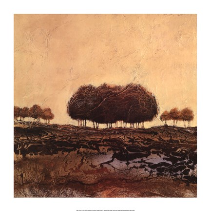 Framed Oak Trees Print