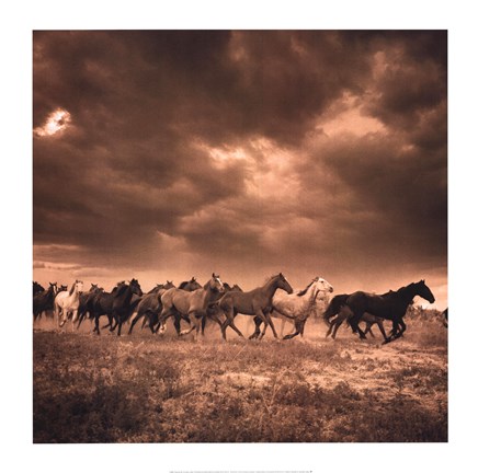 Framed Remuda #6 Print