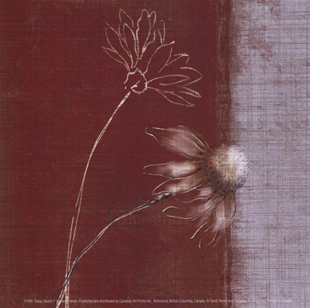 Framed Daisy Sketch I Print