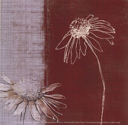 Framed Daisy Sketch II Print