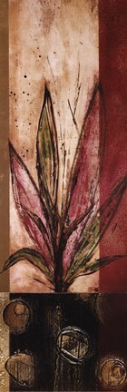 Framed Germination II Print