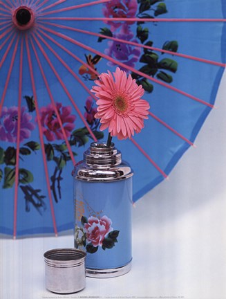 Framed Gerbera Print