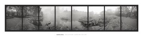 Framed Pond Sanctuary, Central Park, New York Print