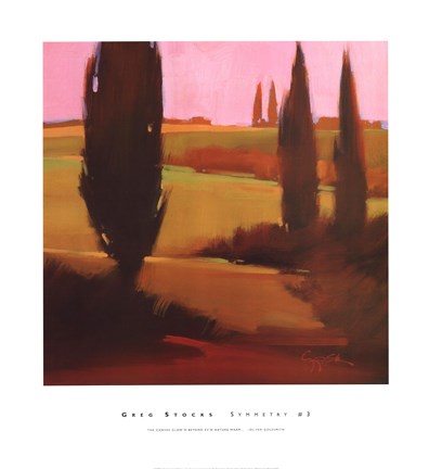 Framed Symmetry #3 Print