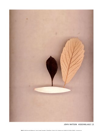 Framed Assemblage 13 Print