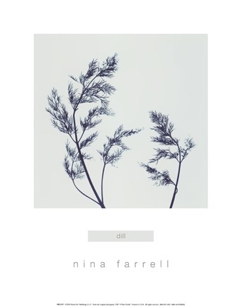 Framed Dill Print