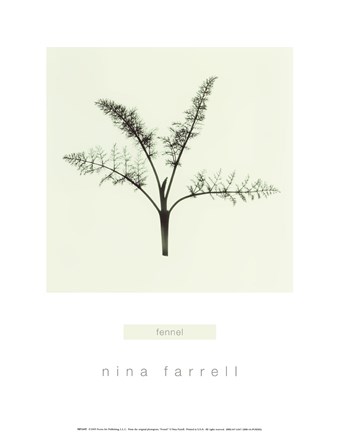 Framed Fennel Print