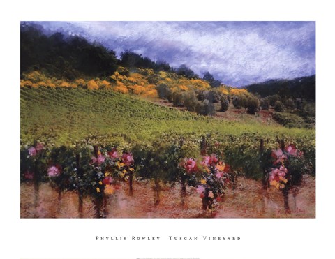 Framed Tuscan Vineyard Print