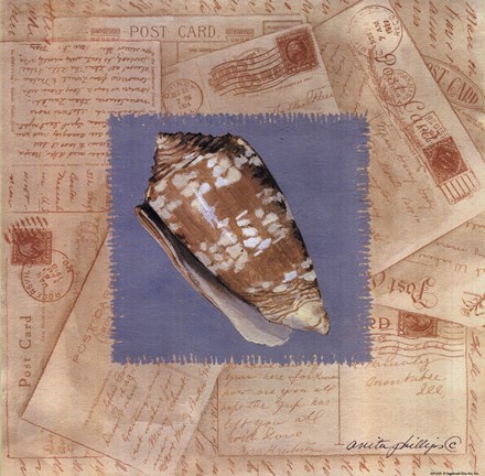 Framed Marbled Cone Post Card Print