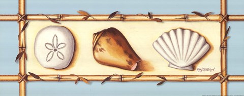 Framed Seashells Print