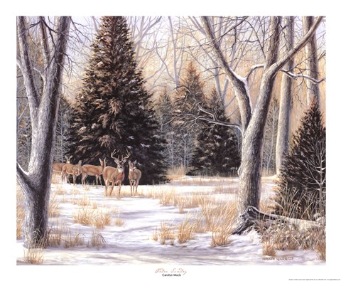 Framed Cedar Sunday Print