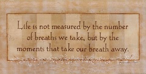 Framed Life is Not Measured Print