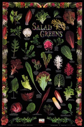 Framed California Salad-Black Print