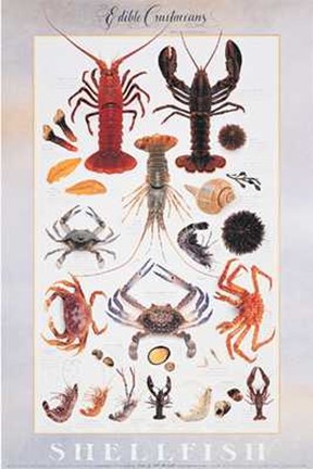 Framed Edible Crustaceans Print