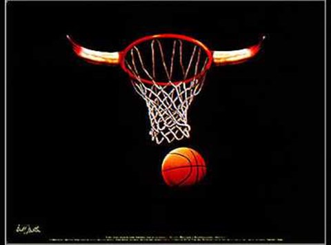 Framed Net (Bulls) Print