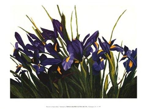 Framed Wild Iris Print