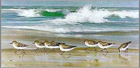 Framed Piper Parade Print