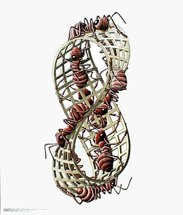 Framed Mobius Strip Print