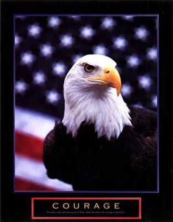 Framed Courage - Eagle Flag Print