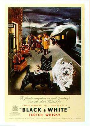 Framed Scottie Print