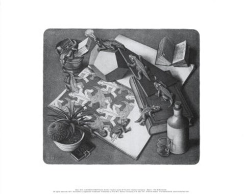 Framed Reptiles Print