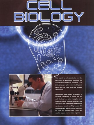 Framed Cell Biology Print