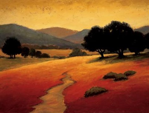 Framed Santa Ynez I Print