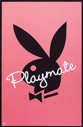 Framed Playmate- Pink Print