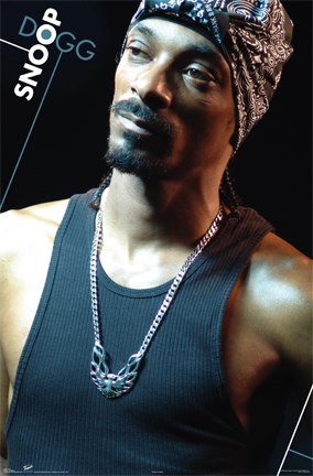 Framed Snoop Dogg - Bandana Print