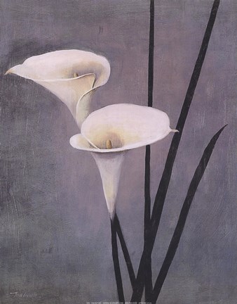 Framed Call Lily on Grey Print