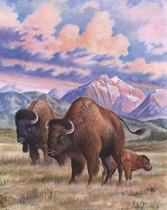 Framed Bison Print