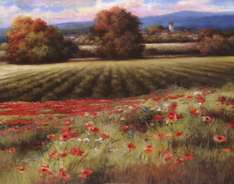 Framed Fields of Provence II Print