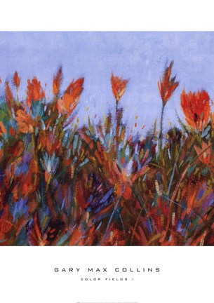 Framed Color Fields I Print