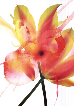 Framed Internal Rapture 1 Print